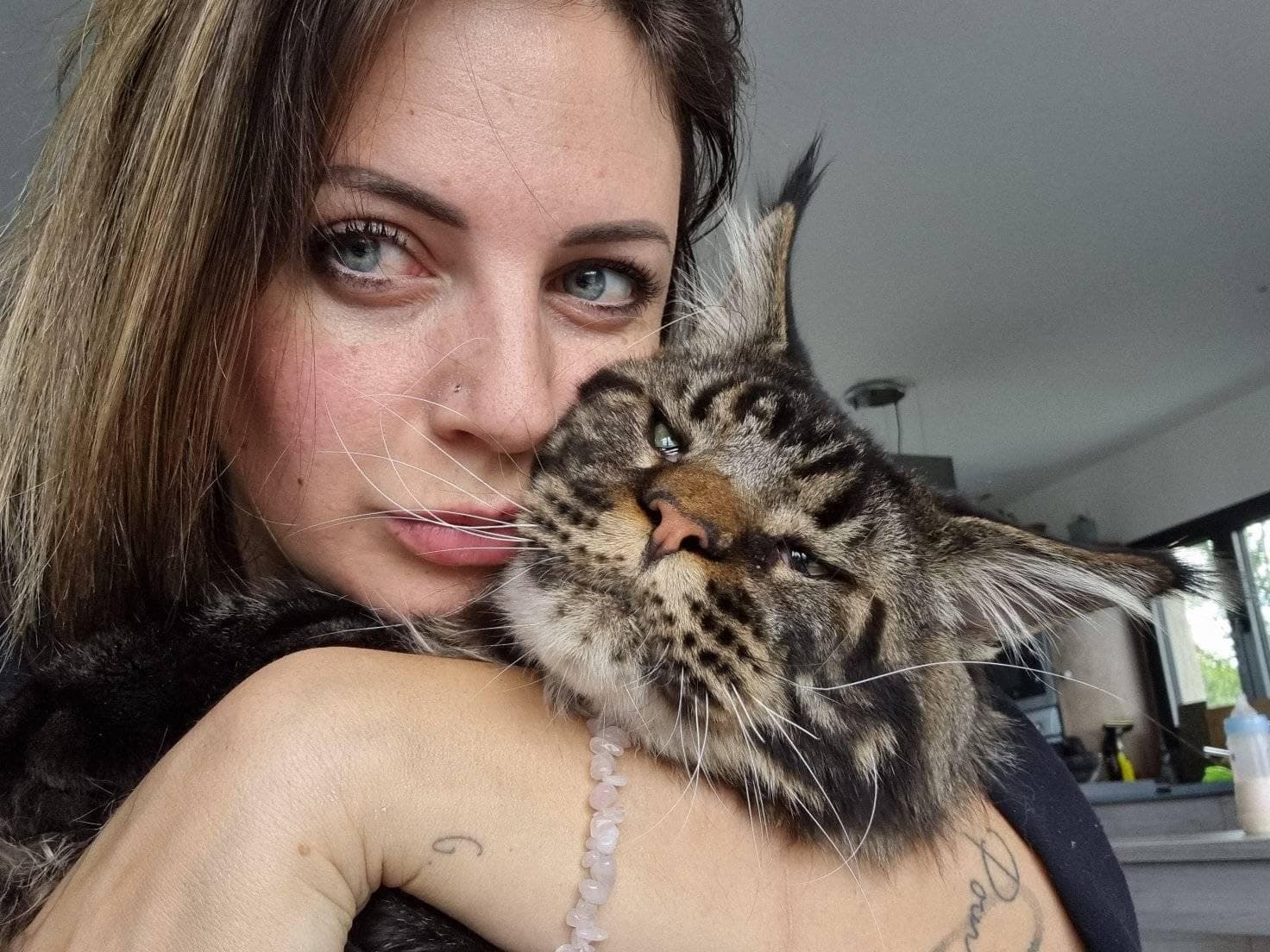 Kiwi et moi